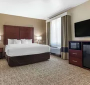 Comfort Suites Plano - Dallas North hotel detail image 7
