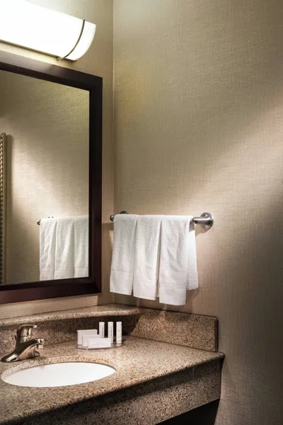 SpringHill Suites by Marriott Dallas DFW Airport N/Grapevine hotel detail image 6