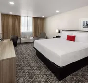 Ramada by Wyndham DFW Airport hotel detail image 7