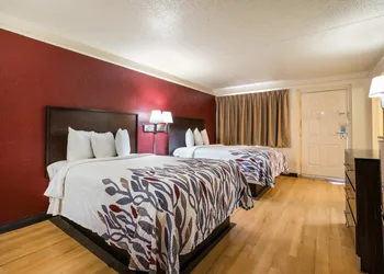 Red Roof Inn North Dallas - Park Central hotel thumbnail 4