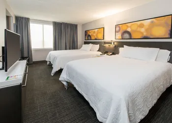 Hilton Garden Inn Las Colinas hotel thumbnail 6