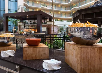 Embassy Suites by Hilton Dallas DFW Airport South hotel thumbnail 6