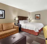 Hampton Inn Dallas-Irving-Las Colinas hotel detail image 5