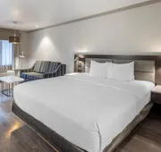 Best Western Plus Executive Suites hotel detail image 3