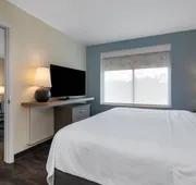 Holiday Inn Tampa North by IHG hotel detail image 3
