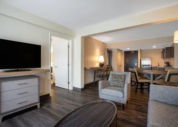 Holiday Inn Tampa North by IHG hotel thumbnail 6