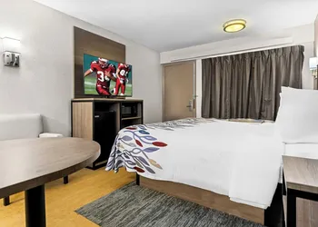 Red Roof Inn Tampa Fairgrounds – Casino hotel thumbnail 6
