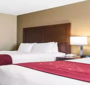 Comfort Suites Tampa Airport North hotel detail image 4