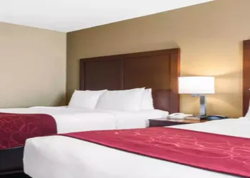 Comfort Suites Tampa Airport North hotel thumbnail 4