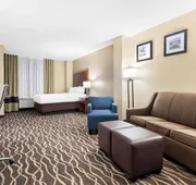 Comfort Suites Tampa Airport North hotel detail image 5