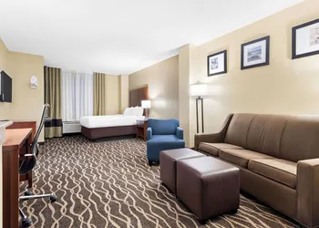 Comfort Suites Tampa Airport North hotel thumbnail 5