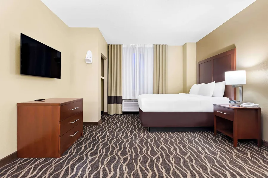 Comfort Suites Tampa Airport North hotel detail image 6