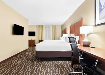 Comfort Suites Tampa Airport North hotel thumbnail 8