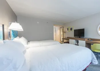 Hampton Inn Tampa-Veterans Expwy (Airport North) hotel thumbnail 4