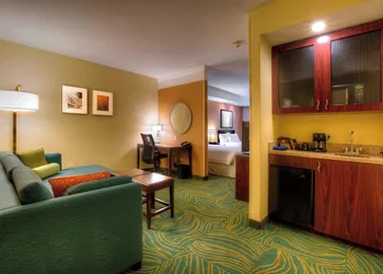Springhill Suites by Marriott Tampa Brandon hotel thumbnail 7