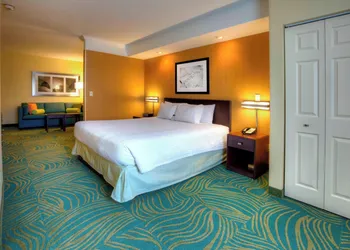 Springhill Suites by Marriott Tampa Brandon hotel thumbnail 3