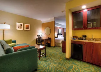 Springhill Suites by Marriott Tampa Brandon hotel thumbnail 7