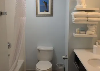 Hampton Inn Tampa/Rocky Point-Airport hotel thumbnail 5