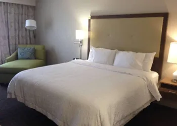 Hampton Inn Tampa/Rocky Point-Airport hotel thumbnail 6