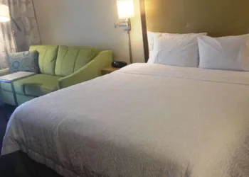 Hampton Inn Tampa/Rocky Point-Airport hotel thumbnail 7