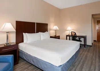 Best Western Tampa hotel thumbnail 7