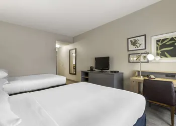 Country Inn & Suites by Radisson, Tampa Airport North, FL hotel thumbnail 8