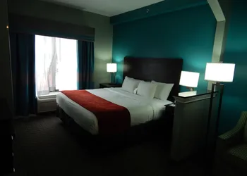 Comfort Suites Tampa - Brandon hotel thumbnail 8