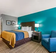 Comfort Inn Sun City Center - Ruskin - Tampa South hotel detail image 4