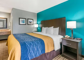 Comfort Inn Sun City Center - Ruskin - Tampa South hotel thumbnail 5