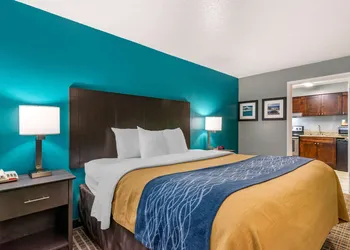 Comfort Inn Sun City Center - Ruskin - Tampa South hotel thumbnail 8