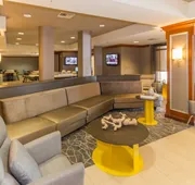 SpringHill Suites by Marriott Tampa Westshore Airport hotel detail image 4