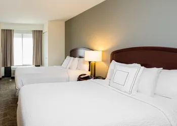 SpringHill Suites by Marriott Tampa Westshore Airport hotel thumbnail 7