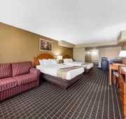 Quality Inn & Suites Sevierville - Pigeon Forge hotel detail image 7