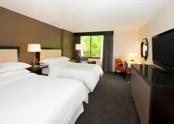 Sheraton Minneapolis West Hotel hotel thumbnail 5