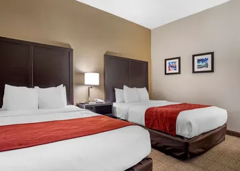 Comfort Inn Towson - Baltimore North hotel thumbnail 8
