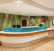 SpringHill Suites by Marriott Baltimore BWI Airport hotel detail image 4