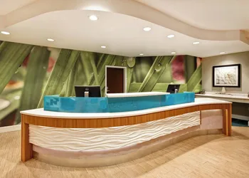 SpringHill Suites by Marriott Baltimore BWI Airport hotel thumbnail 4
