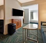 SpringHill Suites by Marriott Baltimore BWI Airport hotel detail image 7