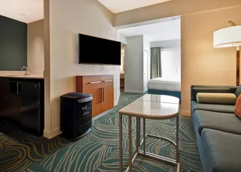 SpringHill Suites by Marriott Baltimore BWI Airport hotel thumbnail 7