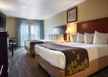 Gold Leaf Hotel of Dewey - Rehoboth Beach hotel thumbnail 5