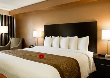 Park Inn By Radisson Toronto - Markham hotel thumbnail 6