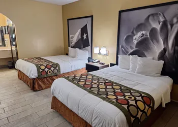 Super 8 by Wyndham Weslaco hotel thumbnail 8