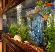 Hampton Inn & Suites Pharr hotel detail image 3