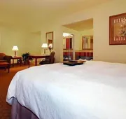 Hampton Inn & Suites Pharr hotel detail image 5