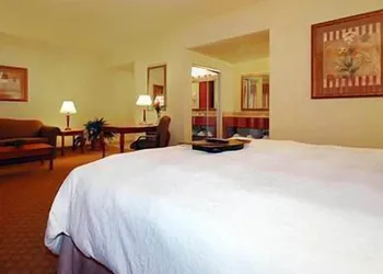 Hampton Inn & Suites Pharr hotel thumbnail 5