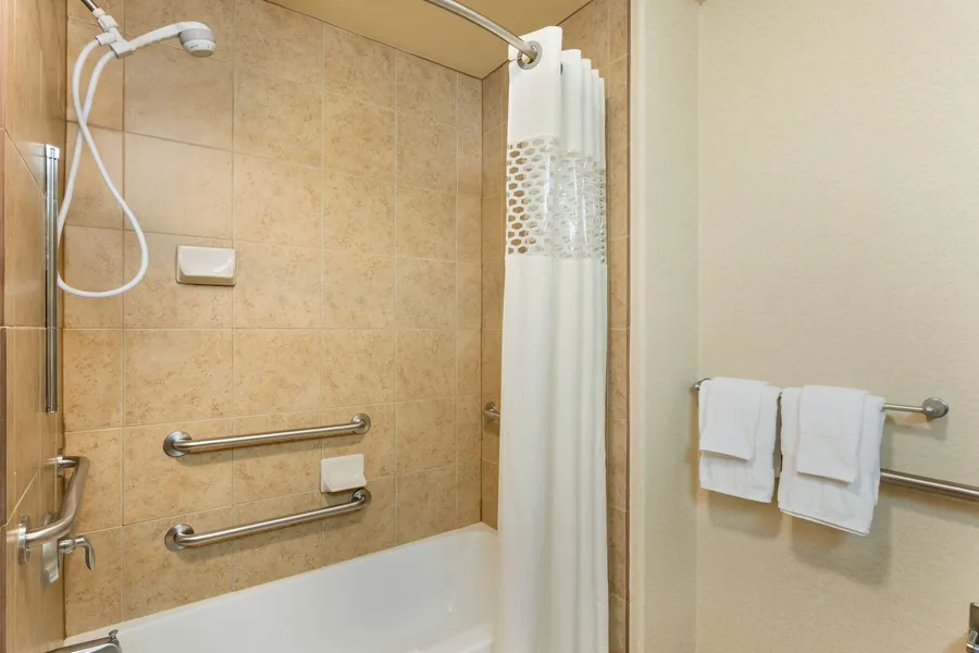 Hampton Inn & Suites Pharr hotel detail image 6