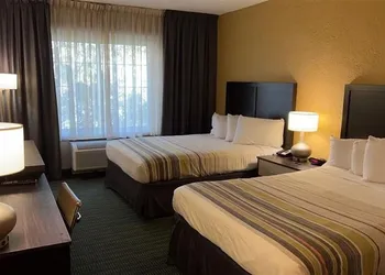 Hotel Flamingo Inn & Suites Vero Beach I-95 hotel thumbnail 3