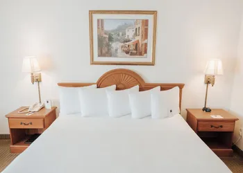 Ann Arbor Regent Hotel & Suites hotel thumbnail 6