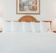 Ann Arbor Regent Hotel & Suites hotel detail image 7