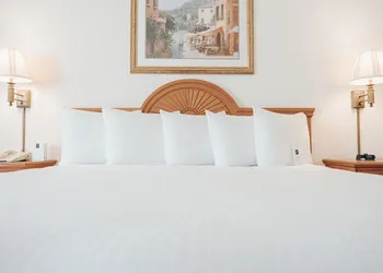 Ann Arbor Regent Hotel & Suites hotel thumbnail 7